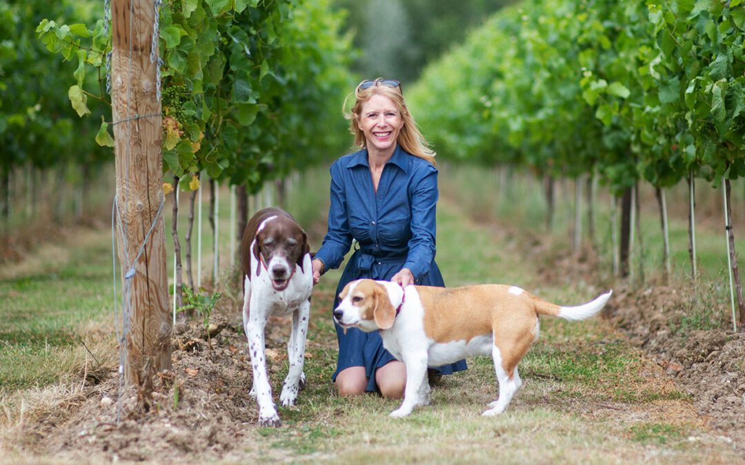 A girl playing with dogs